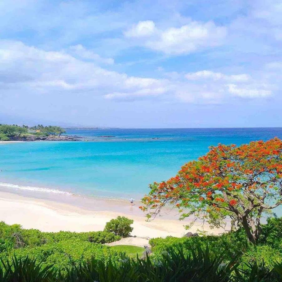 Family Friendly Kailua Bay View Ac Free Parking Walk To Kailua Village المظهر الخارجي الصورة