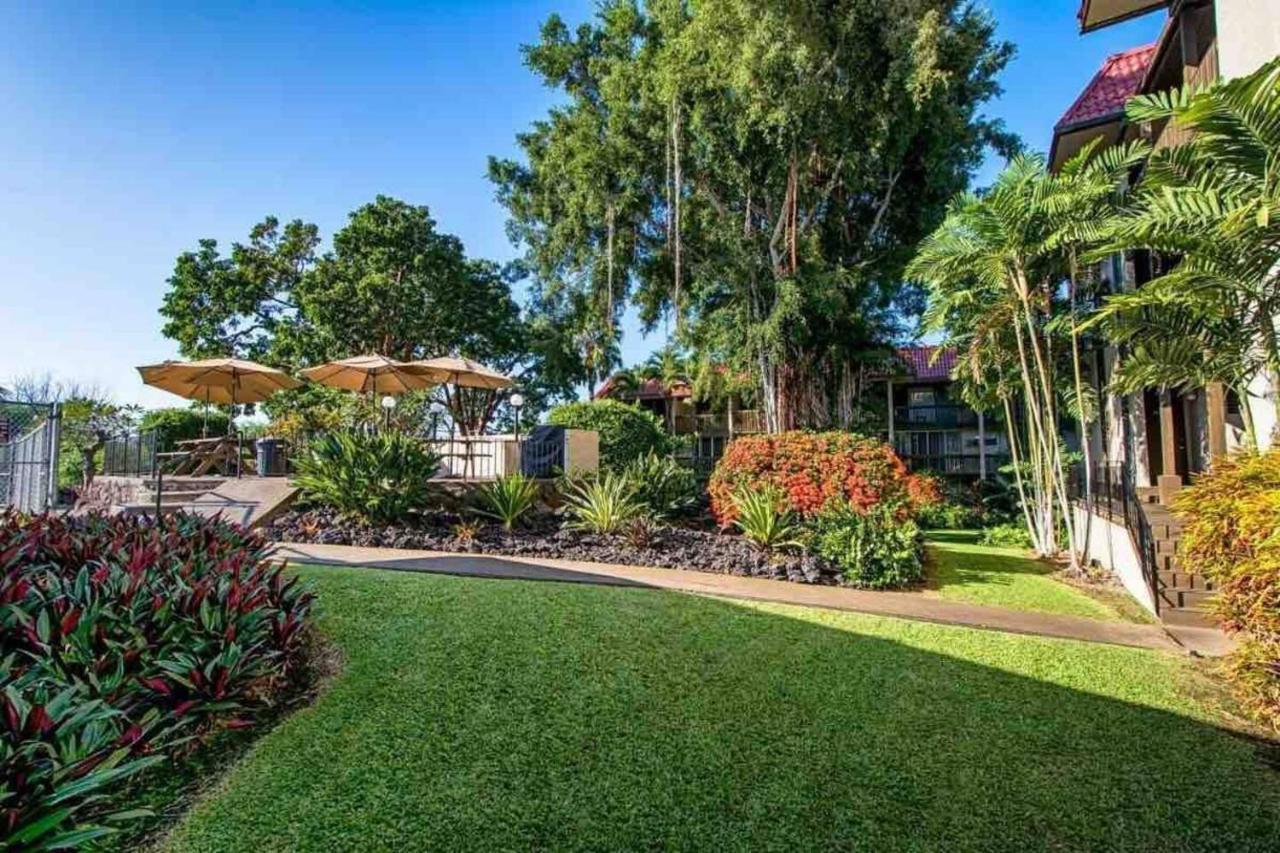 Family Friendly Kailua Bay View Ac Free Parking Walk To Kailua Village المظهر الخارجي الصورة